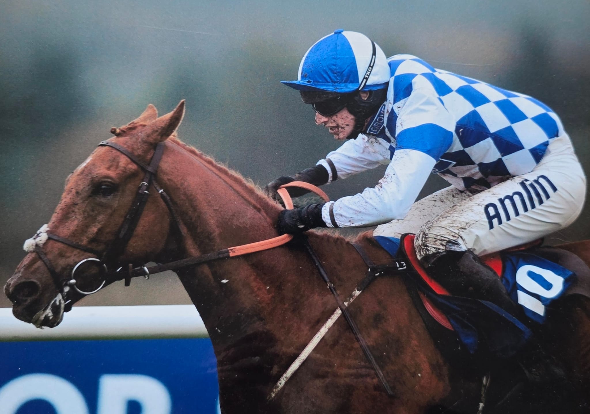 Winners Enclosure » Home