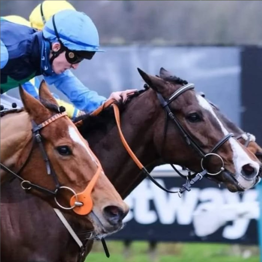 Rob Stephens Racing | Gwent Dual Racehorse Trainer Rob Stephens